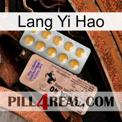 Lang Yi Hao 41